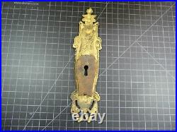 Antique Pocket Sliding Door Trim Plate with Keyhole Cover Ornate Lion Heads