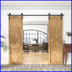 Double Barn Door Hardware Kit 5-18FT for Sliding Double Doors Wood Cabinet Close